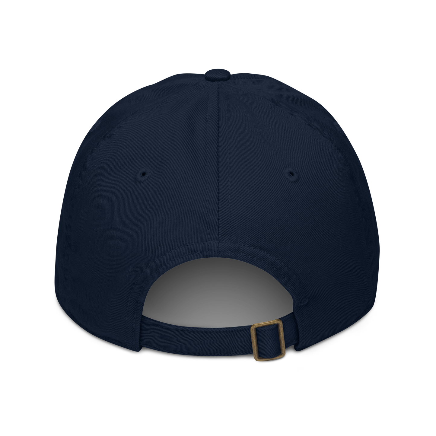 50th Anniversary Bertschi Organic Dad Hat