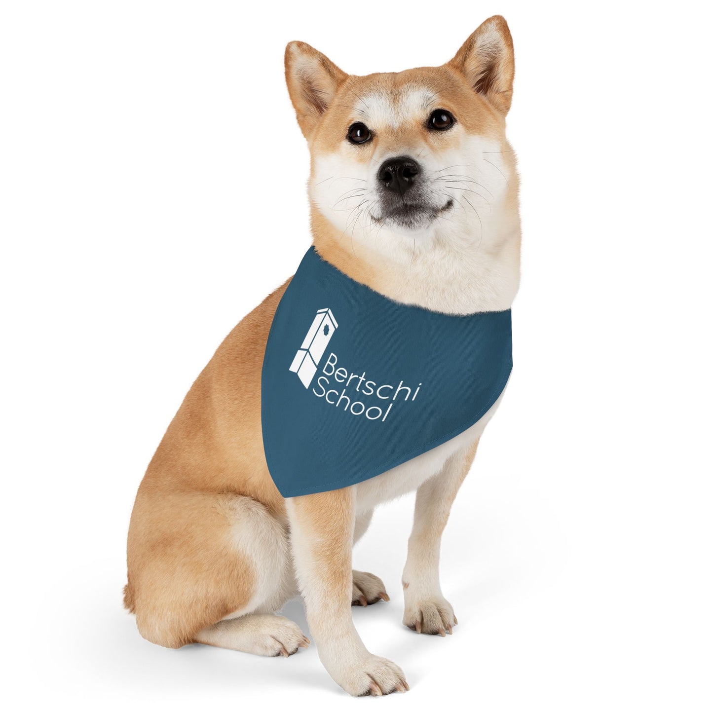 Pet Bandana