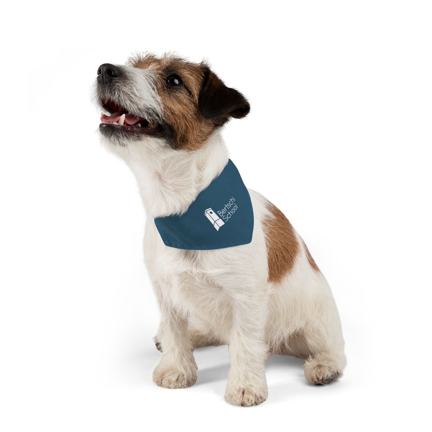 Pet Bandana