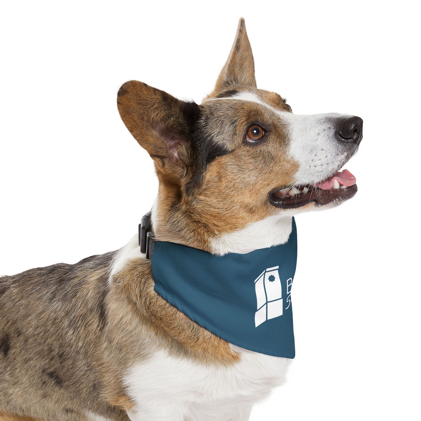 Pet Bandana