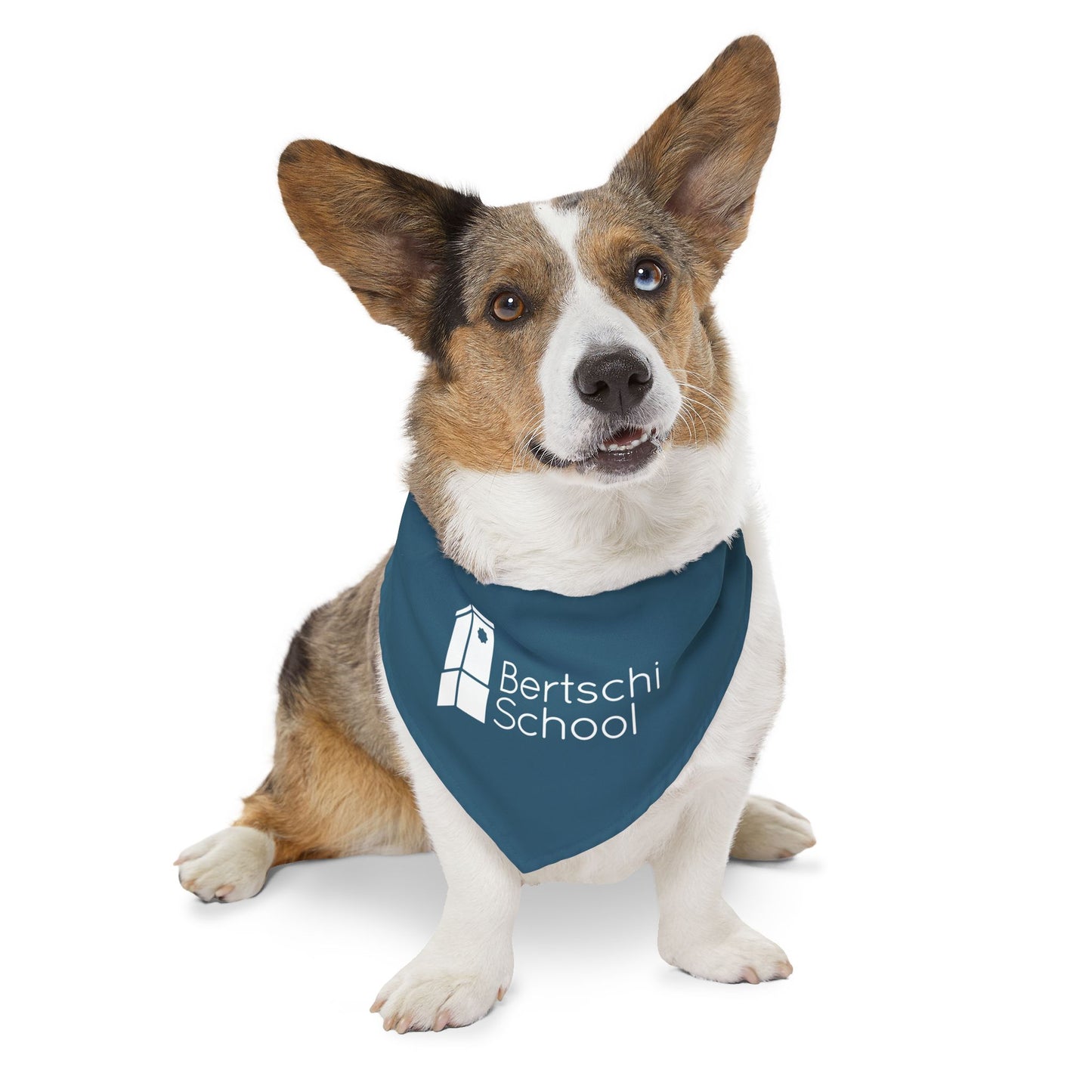 Pet Bandana