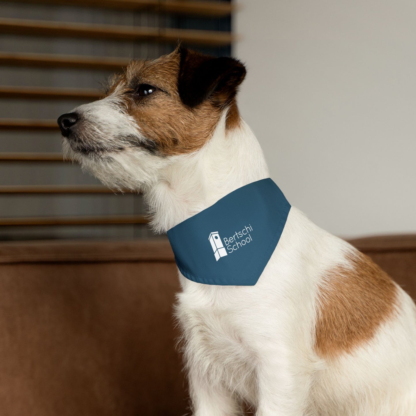 Pet Bandana