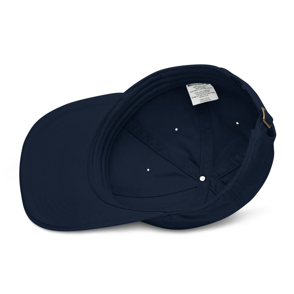 Bertschi Organic Dad Hat